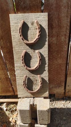   FHorse Shoe yard Decor