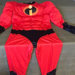 Incredible Adult Costume 