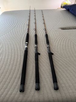 Tiger Elite 2 Jig and 1 casting Rock fishing Rods