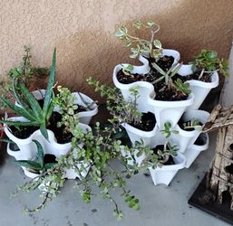 Stackable Planters with Succulents