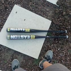 Baseball Bats For Sale 