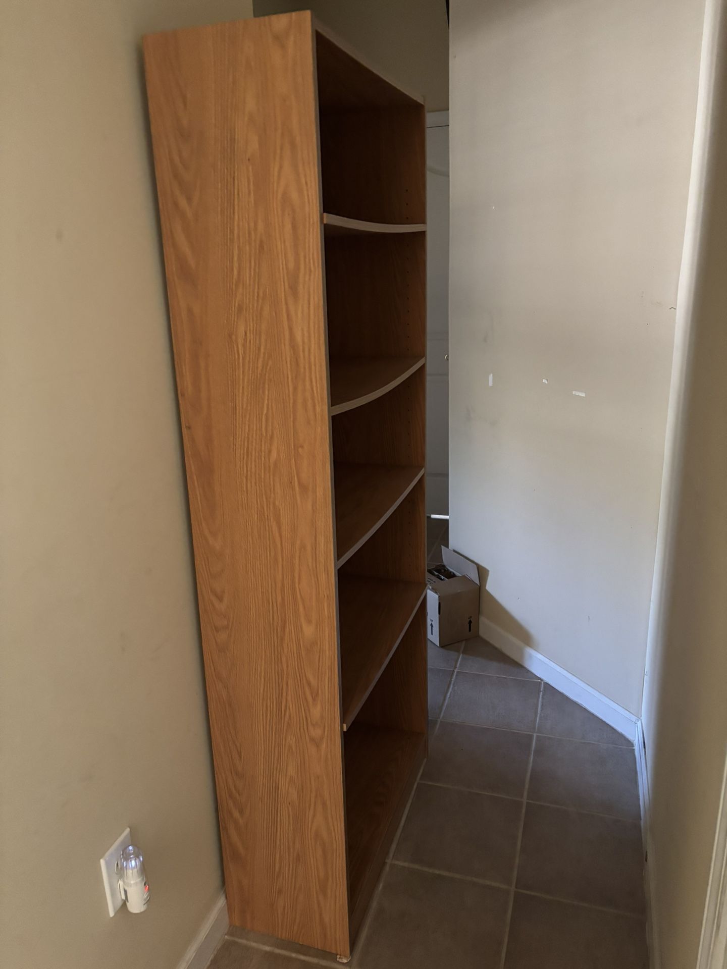 Book Shelves/Storage Shelves 