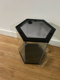 Pentagon  terrain cage