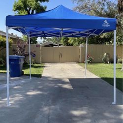 Heavy Duty Canopy Fold Up 10x10"
