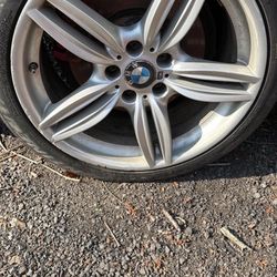 Bmw Rims