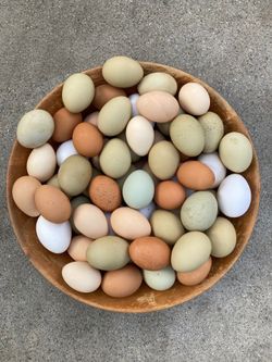Fresh Eggs