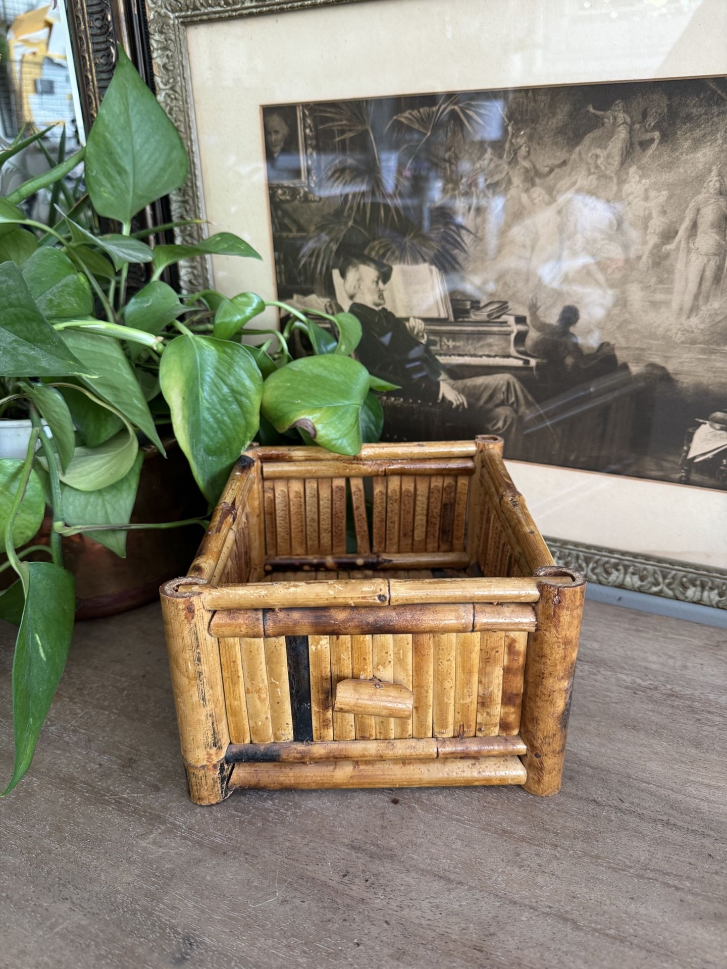 Vintage Bamboo Box Plant Holder Storage Organizer Decor Trinket Catchall Holder Accent Tortoise