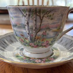 Royal Albert Silver Birch Tea Cup/Saucer