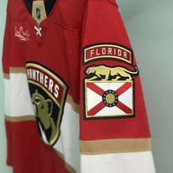 Panthers Gameday Sale!!! I have Authentic Jerseys, Sweats, Warm Up Jackets, Sweatshirts And More!!! All Brand New Officially From Team Store!!!