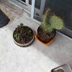 All free...MUST TAKE THEM ALL