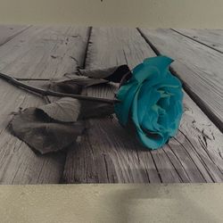 Beautiful Flower Wall Art 20x40 Inches 