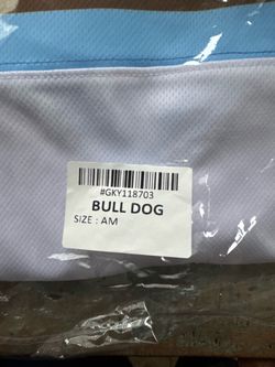 Letterkenny official SHORESY Sudbury Blueberry Bulldogs PRO Jersey