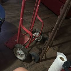 Dollys For Sale