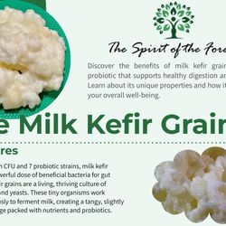 Live Kefir grain