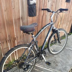 Schwinn Beach Cruiser 