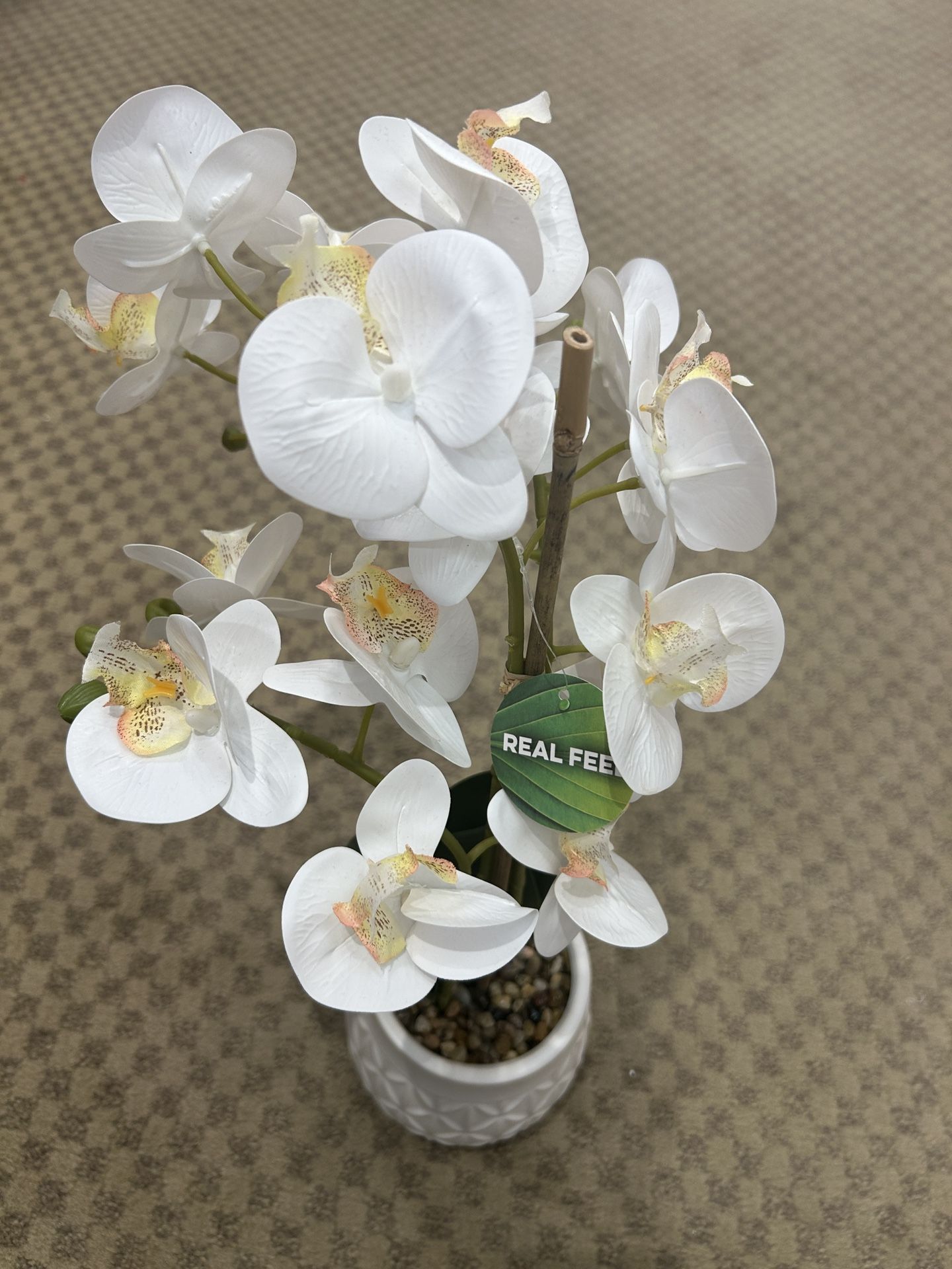 NWT White Orchid Artificial Plant