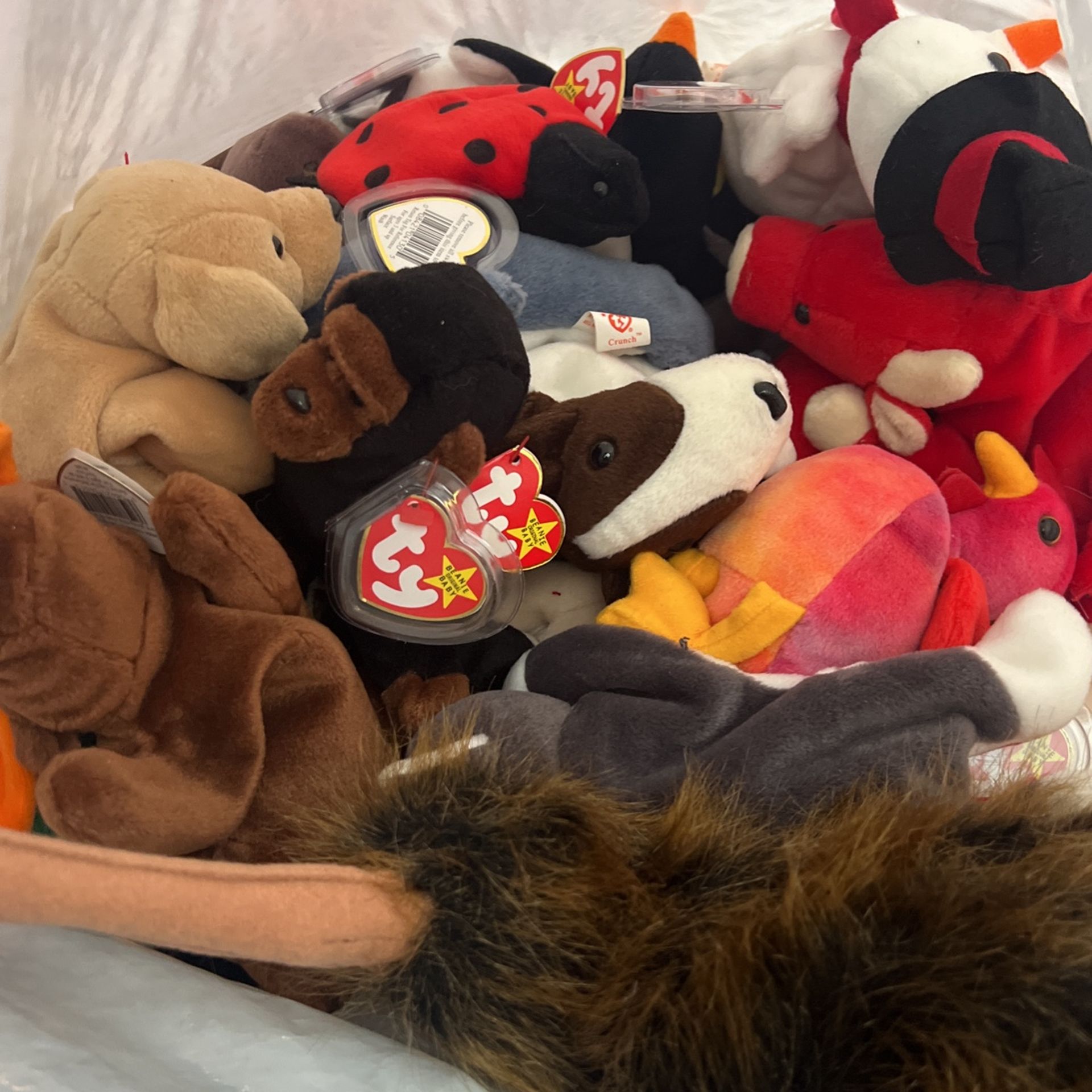 Ty Beanie Babies