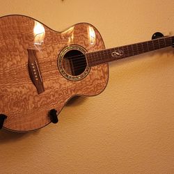 Ibanez Acoustic Guitar