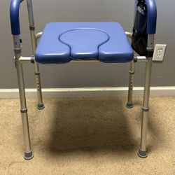 Handicap Toilet Seat 