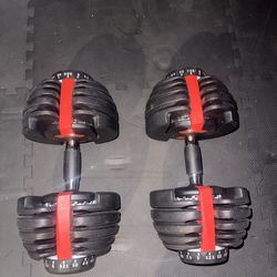 Adjustable Dumbells 5-52.5 lbs [NO CRADLES]