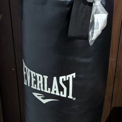 Everlast Punching Bag With Gloves 