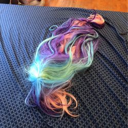 Multi Colored Wig