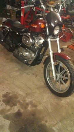 95 harley sportster 883 deals