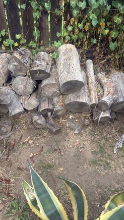Free Firewood