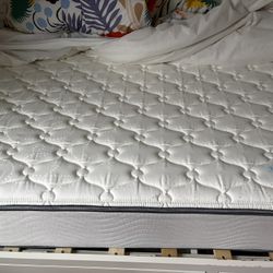 Pottery barn Twin Bed And Mattress 