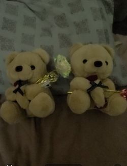 2 Teddy 🧸 Bears
