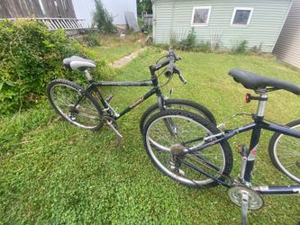 Trek Trek Specialized bike $30 each