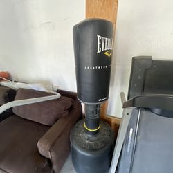 EverLast Punching Bag 