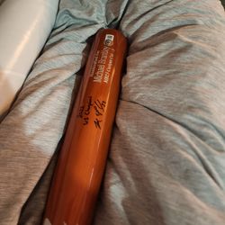 Houston, Michael Brantley, world series, bat