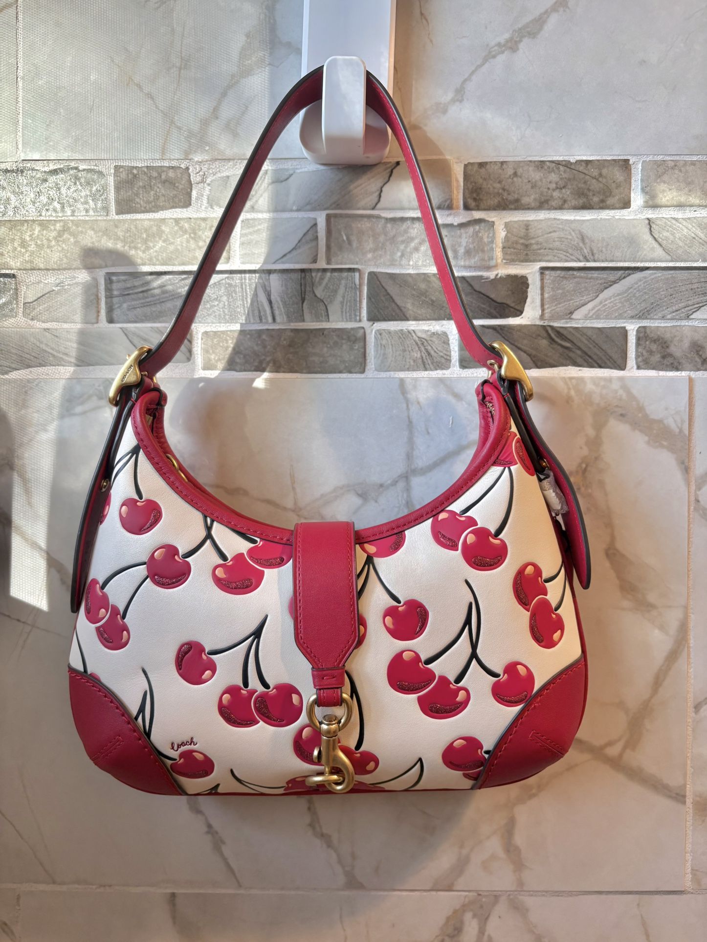Coach Cherry Hamptons Hobo bag