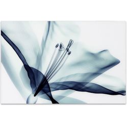 Tempered Glass Wall Art 
