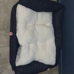 Dog Beds For Sale! Check Below For Prices!