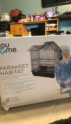 Parakeet cage.