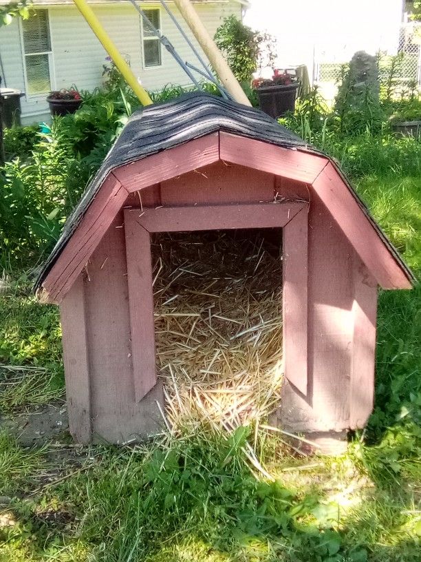 Small Dog Cat House