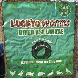 LuckyQ Worms Dried BSF Larvae
