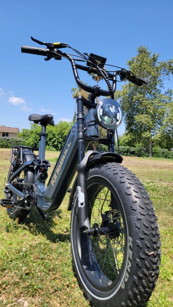 Fat Tires Full Suspension Ebike - Bafang Motor- Torque Sensor