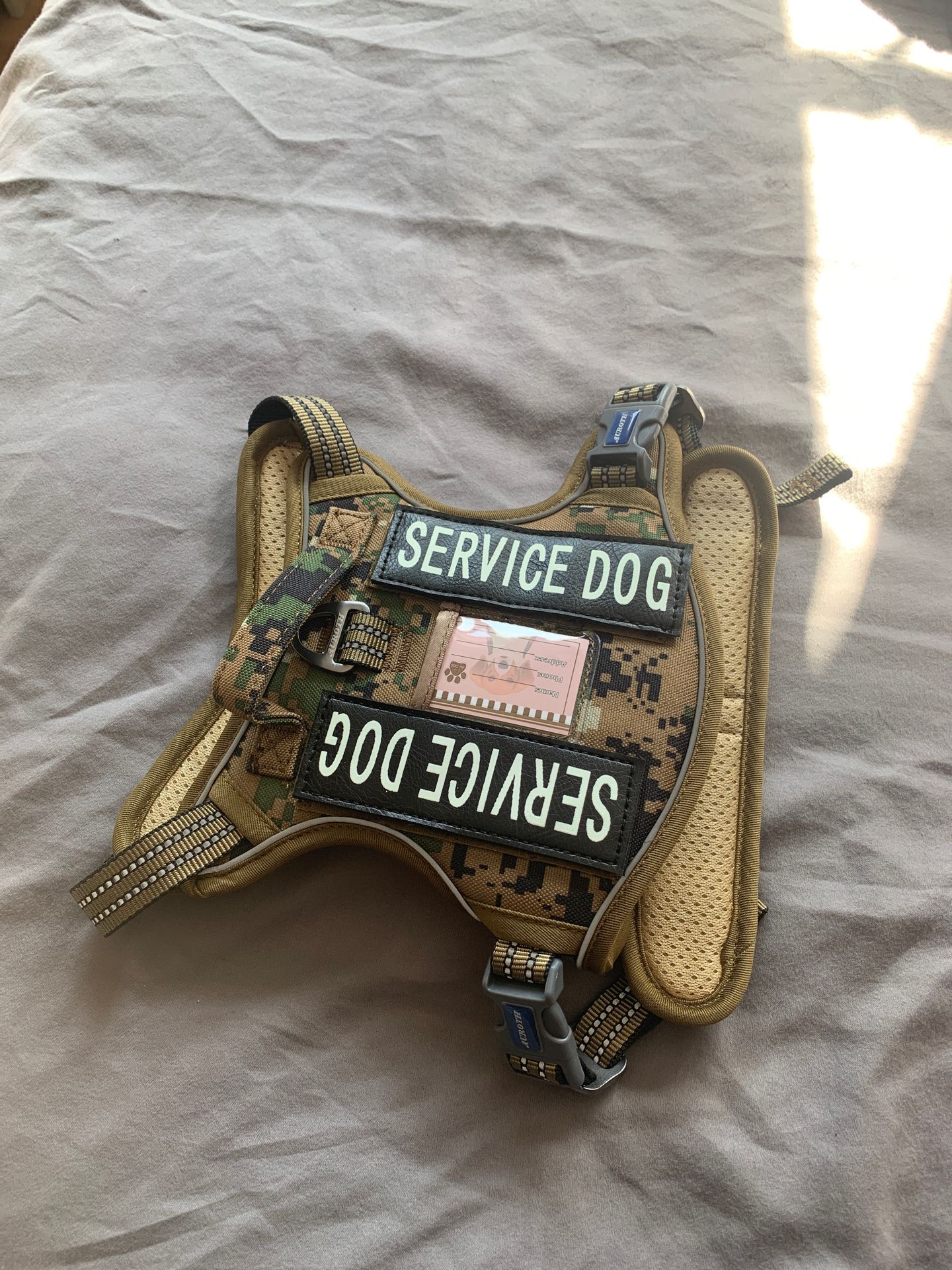 Dog harness and collar