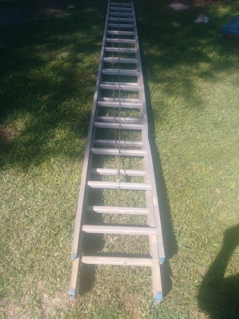 Werner Ladder