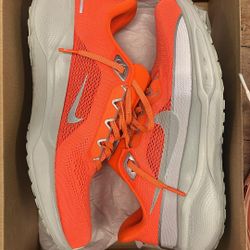 Nike Air Zoom Pegasus