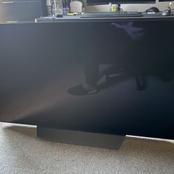 LG OLED 55” (Lined Screen - bottom half)