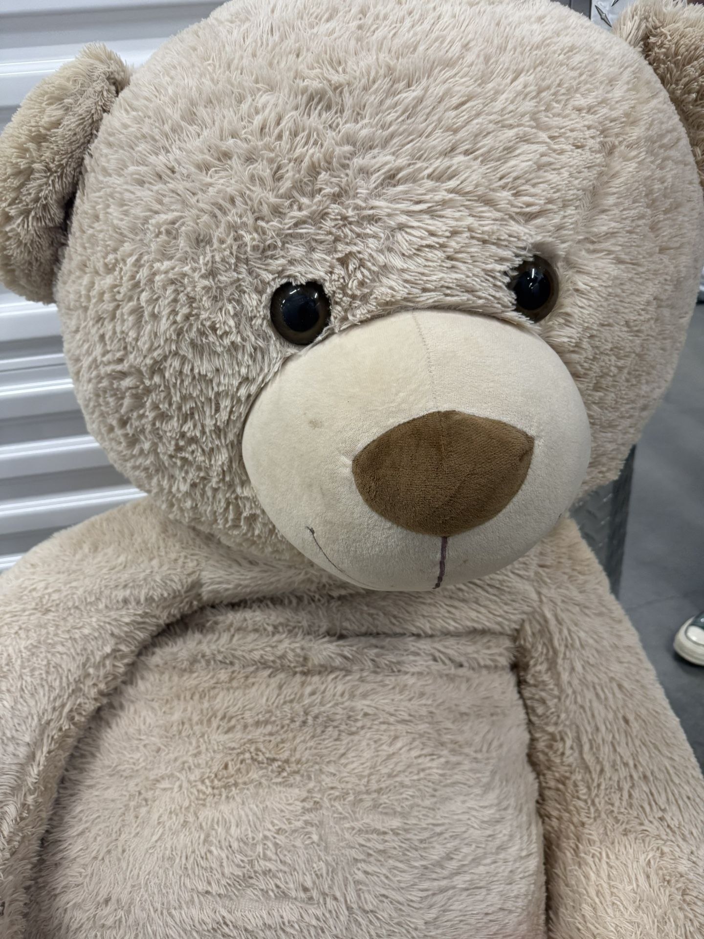 Giant Teddy Bear
