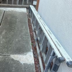 Ladder