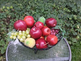 Metal Basket With Artificial Fruit