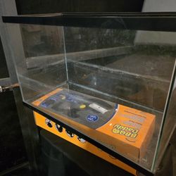 10 Gallon Aquarium