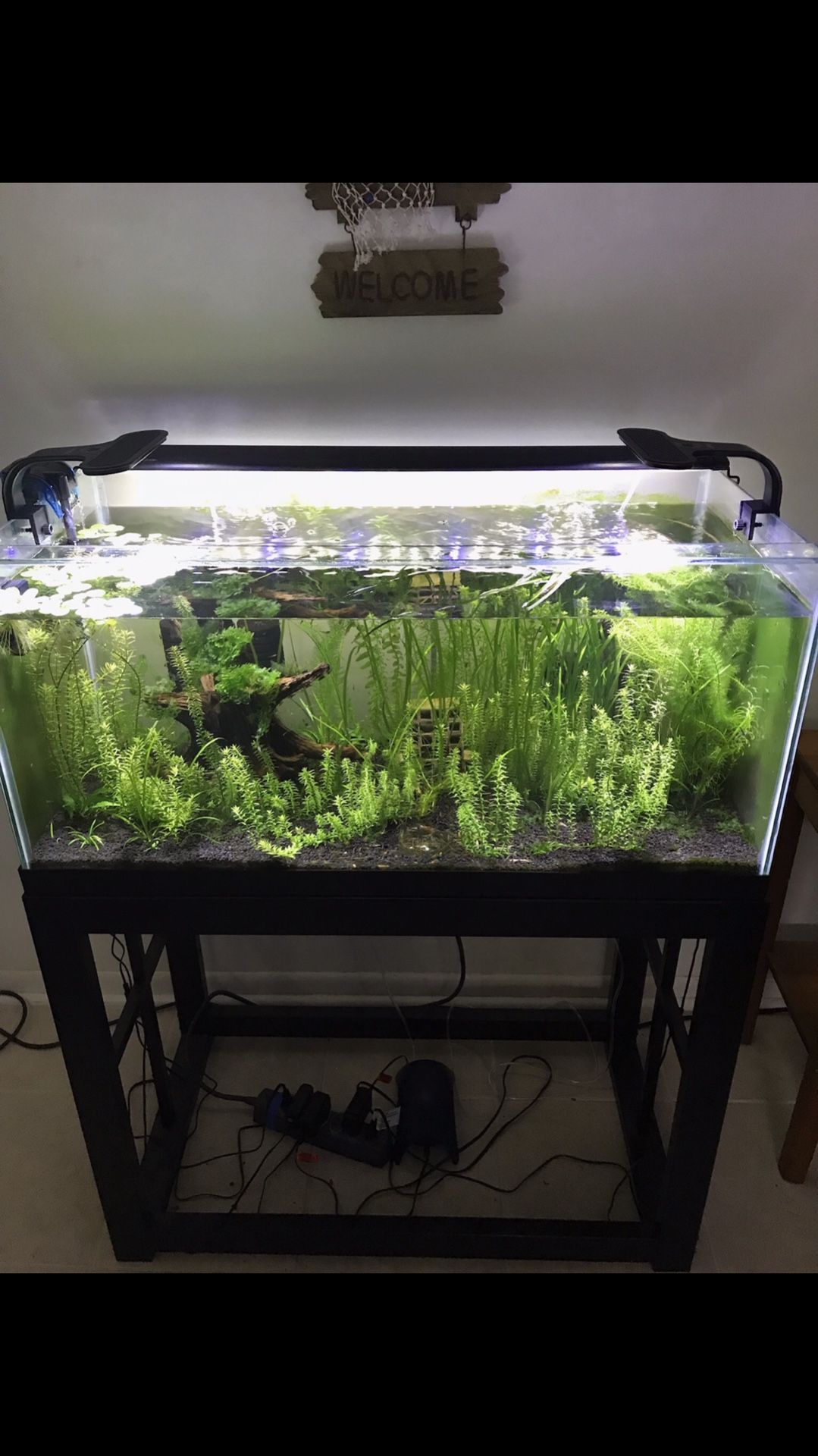Aquarium Fish Tank - Rimless 40 Gallon  