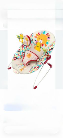 Bright Starts Bouncy Chair